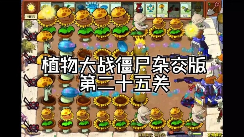 植物大战僵尸杂交版25关怎么过