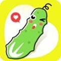 91香蕉短视频app安装无限看